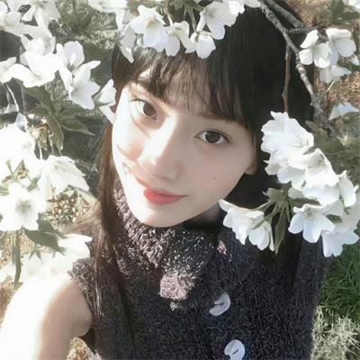 护花神探